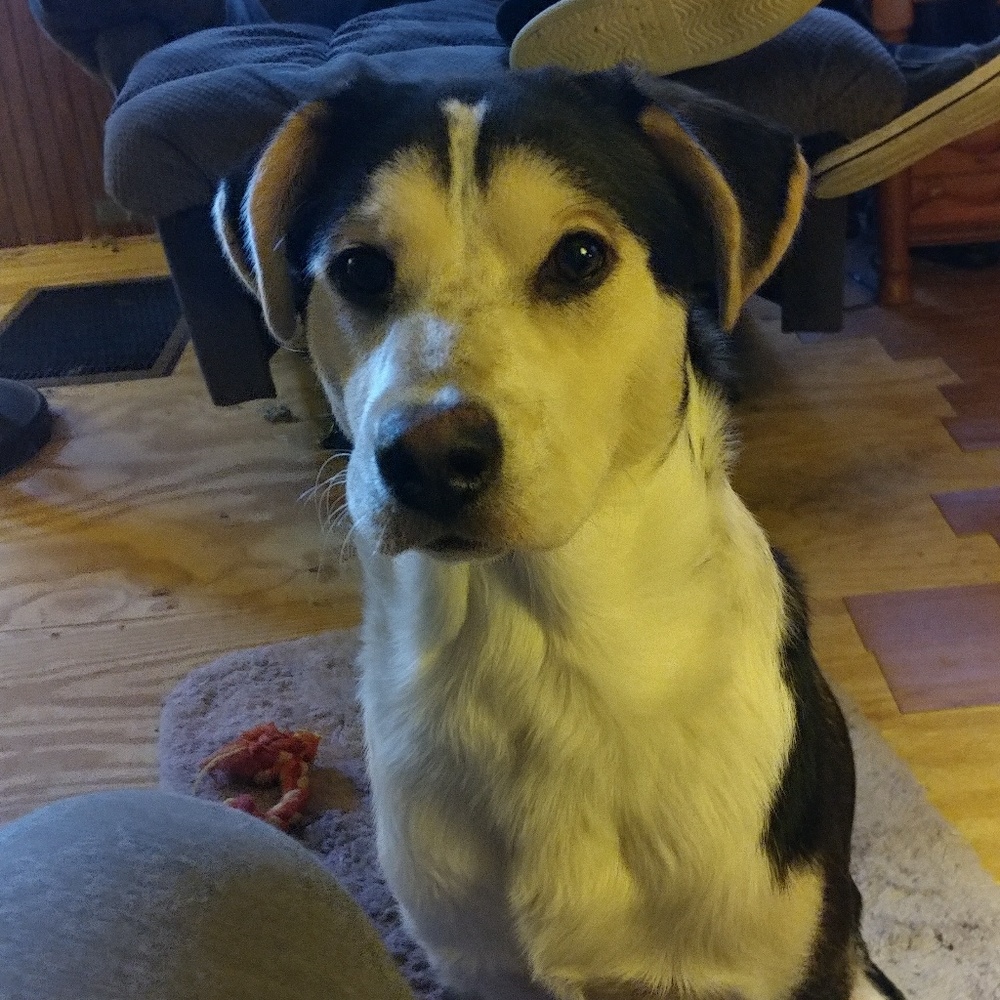 Meet your Posher, Pam